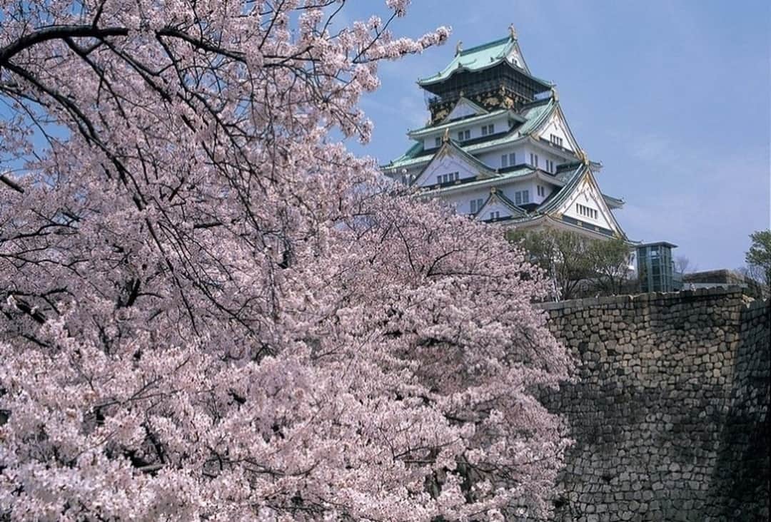 Relux | リラックスさんのインスタグラム写真 - (Relux | リラックスInstagram)「大阪 桜ノ宮に位置し、大阪の主要エリアへのアクセスが便利な「桜ガーデンホテル」。観光にビジネスに、幅広い用途に応える都市型ホテルです。みなさまにあった滞在をここ、「桜ガーデンホテル」で叶えませんか。 . 📍桜ガーデンホテル/大阪 . . . 気になる宿の詳細はプロフィールから▶ @relux_jp . #桜ガーデンホテル #Relux #リラックス #旅行 #大阪 #ホテル #国内旅行 #旅したくなるフォト #旅の記録 #大人の休日 #風景写真 #おでかけ #大人旅 #旅スタグラム #旅が好き #旅フォト #ダレカニミセタイケシキ #旅行好き #日本旅行 #桜 #trip #travel #osaka  #unknownjapan #japantravel #ig_japan #instatravelgram #お花見 #桜2019 #cherryblossoms」3月29日 12時00分 - relux_jp