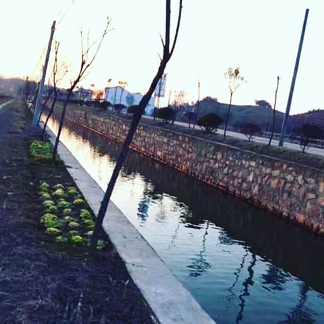 美ら島Travel のインスタグラム：「中国安徽省六安市金安区のある農村の冬の人工運河です。 しっかりと整備された農地に人口の川もしっかりとありました。 向こうから朝日が昇ってきています。 朝ははやっぱりいいですね！静かな農地で自然の贅沢を堪能です♪  #china　#lovechina　#lovetravel　#travel　#family　#中国　#安徽省　#農地　#畑　#タアサイ　#運河　#人工　#異文化　#庭園　#異文化交流　#海外旅行　#一人旅　#旅行　#旅行女子　#旅女子　#旅好き　#旅行好きな人と繋がりたい　#観光　#中国旅行　#中国観光  #あえてシェア  @kanden.jp」