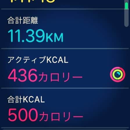 森恵さんのインスタグラム写真 - (森恵Instagram)「ランニングin東京。 途中でアプリが止まってて めちゃくちゃ悔しかったけど、 10キロの数字をちゃんと残したくて再開。 他のアプリではちゃんと記録残っててよかったー！ 合計11㎞ちょっと。  #ランニング #NRC #11km #なんかご褒美ほしい #やっぱお肉かな」3月29日 12時19分 - morimegumi_official