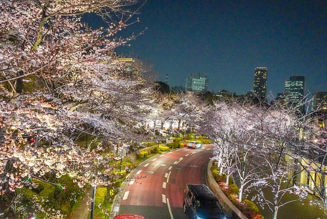 JUNKO（飯田順子）さんのインスタグラム写真 - (JUNKO（飯田順子）Instagram)「桜🌸 ・ 2019 ・ 前髪ぴょんしてる☹️ #sakura」3月29日 12時27分 - jun__ko_