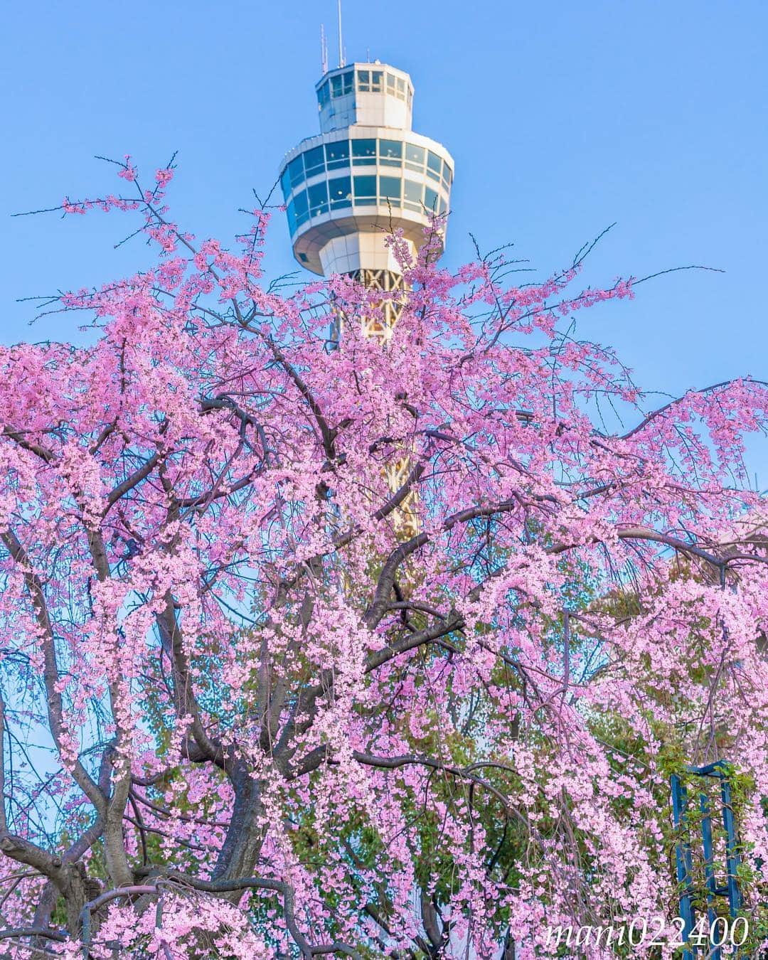 mani022400のグルメインスタ