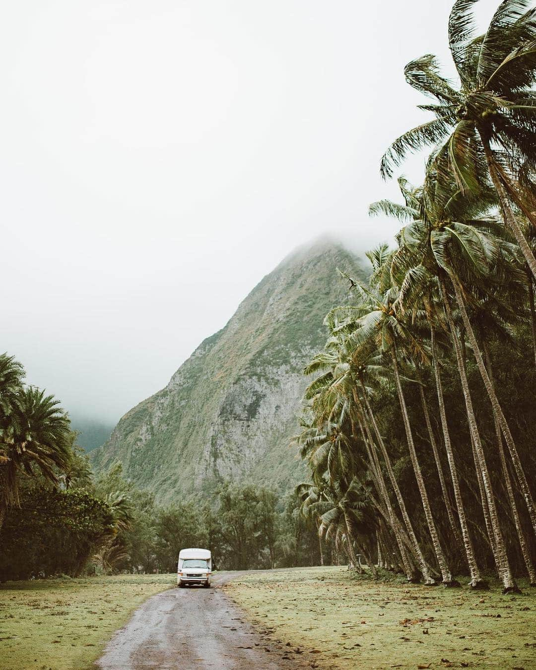 ハワイアン航空さんのインスタグラム写真 - (ハワイアン航空Instagram)「The official color of #Molokai is green, and we can see why 😍 📷: @ElanaLoo . . . . #LetHawaiiHappen #ExploreHawaii #GlimpseofHawaii #NakedHawaii #HawaiiUnchained #AlohaOutdoors #AdventureAwaits #VisitMolokai」3月29日 4時09分 - hawaiianairlines