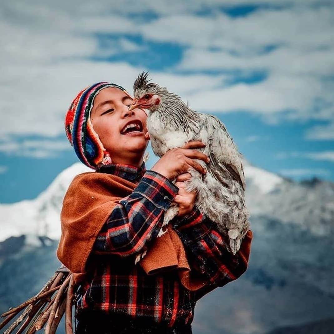 のインスタグラム：「Smile with this sweet picture by @dennismiller_ph 📸 at @igersperu #igersperu #igers」