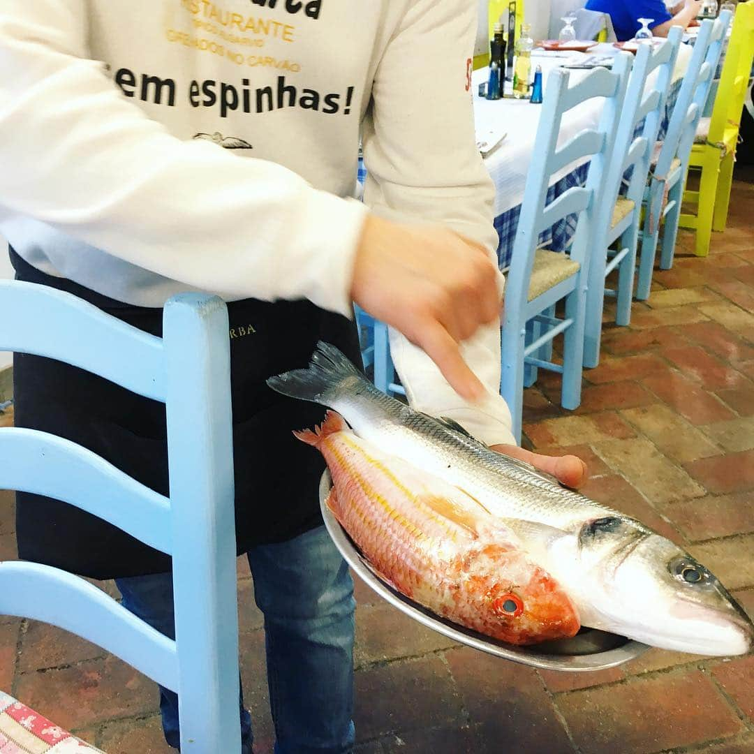 権田裕美さんのインスタグラム写真 - (権田裕美Instagram)「・ ・ ポルティマンでいちばん人気のお魚屋さん♪ ・ ・ この日は今日のオススメのボラとスズキをチョイス♪ ポルトガルのレストランはだいたい 19時オープンだけど、 ここは18時オープンだから子連れにはありがたい〜😊 ・ お魚はもちろんのこと、 タコ飯？リゾット？おじや？ はもう言葉には表せないタコの旨味た〜っぷり！ 美味しい〜♥︎はポルトガル語で、 Gostoso.「ゴストーゾ！」 週末のご馳走ディナーでした♪ ・ ・ #portimaõ#Portugal#海外生活 #ヘルシービューティアドバイザー#薬膳コーディネーター#ダイエット#腸活#ヨガインストラクター #photography#instalove#instagood #instagram#mamagirl#steady#美人百花#classy#como#男の子ママ#モノノフ #instalove#instalike#kirarapost」3月29日 6時00分 - yumigonda