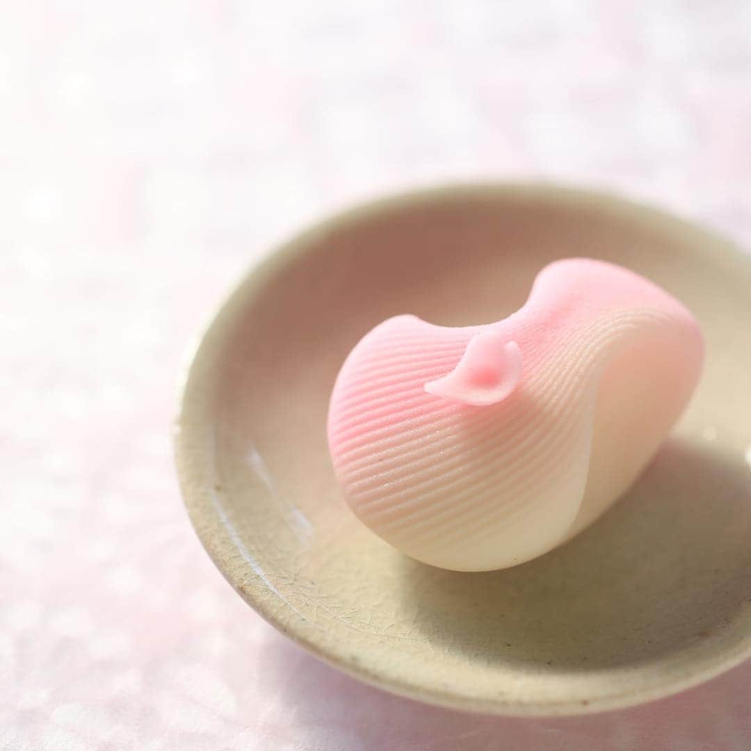 Toru Tsuchieさんのインスタグラム写真 - (Toru TsuchieInstagram)「今日の和菓子はねりきりで作った花筏です。 ねりきりとは白餡に餅や芋を混ぜて作った和菓子で 茶道 で使われる「主菓子」の一種です。 撮影 用に作成しました。  フェイスブックページのいいね！もよろしくお願いします。 https://www.facebook.com/shishisu/ Today's wagashi is Cherry blossom with Nerikiri. The Nerikiri is the material of wagashi made by mixing the rice cake and yam in white bean. Is a kind of "Jounamagashi" as used in the tea ceremony. The sweets I've made for the shooting. #kook #福泉堂  #和菓子  #Милий #wagashi  #торт #出雲  #春 #カメラ好きな人と繋がりたい  #写真好きな人と繋がりたい　 #Japan_of_insta #和スイーツ #handmade　 #جميل #Japan #wagashi  #красивый #器  #blossom #gâteau #ig_color  #일본디저트  #Mignon  #igfood #craftsman #Kuchen #桜 #สวย #sweets #kawaii」3月29日 6時46分 - choppe_tt