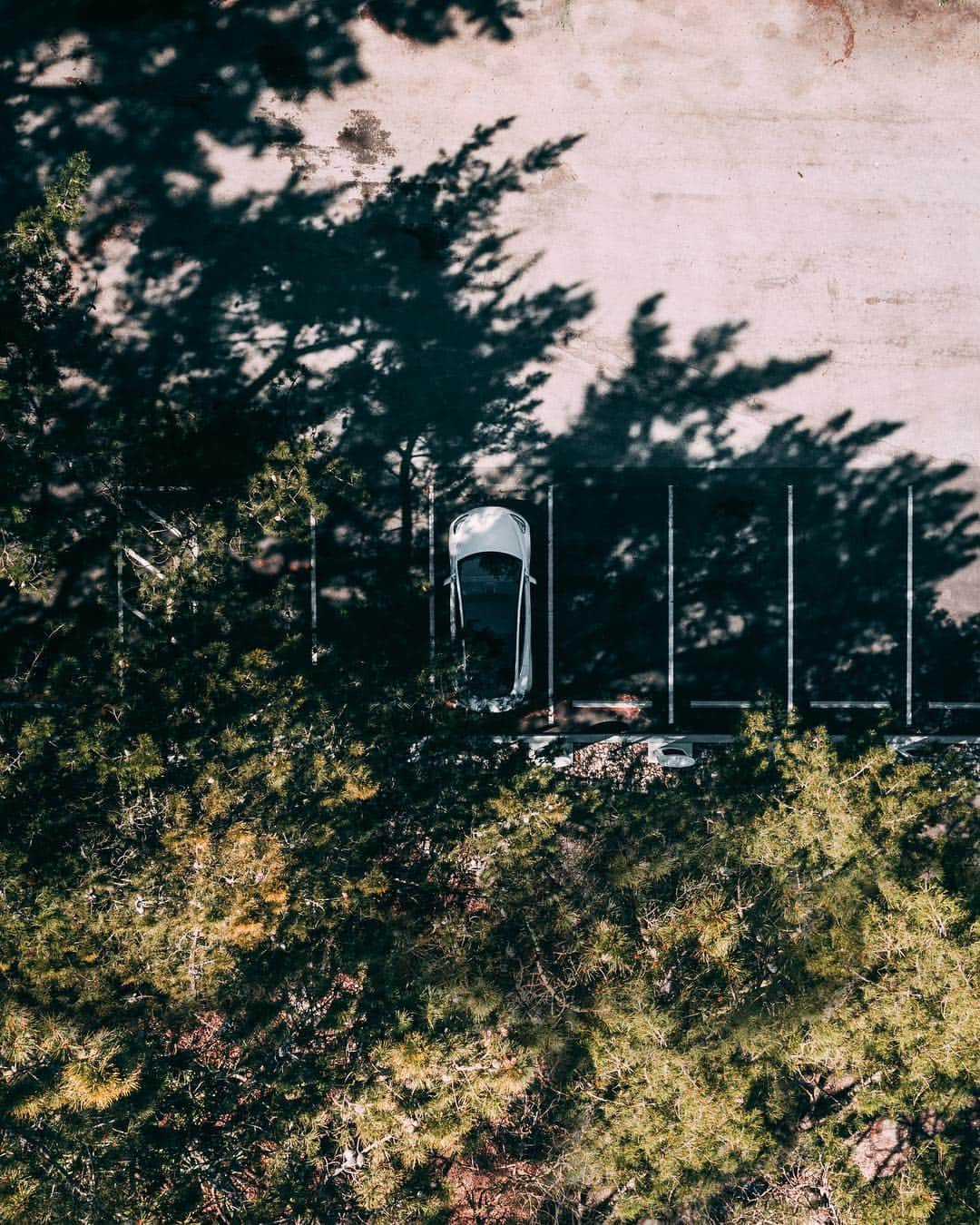 Teslaさんのインスタグラム写真 - (TeslaInstagram)「We activated our first Superchargers 6 years ago. Today, we have more than 12,000 of them at 1,400 sites around the world. 📸 @Minimal_Duck  tesla.com/supercharger」3月29日 7時05分 - teslamotors