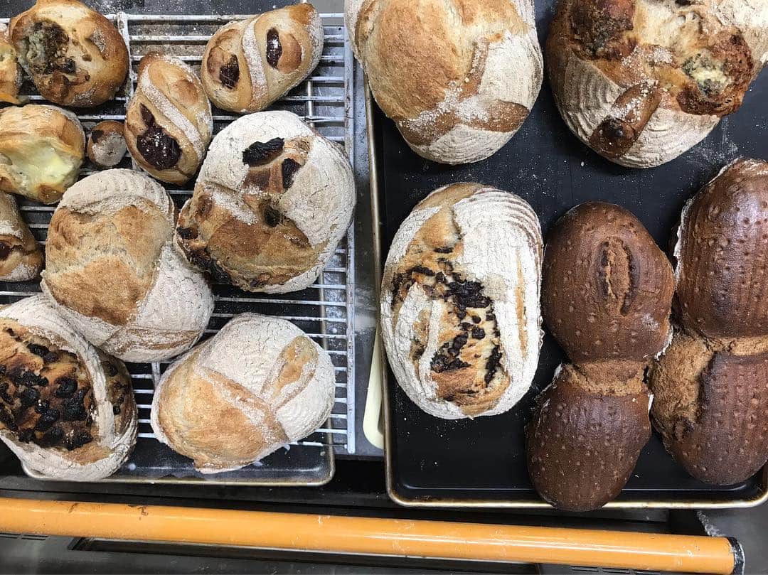 魔女菅原のグルメインスタ