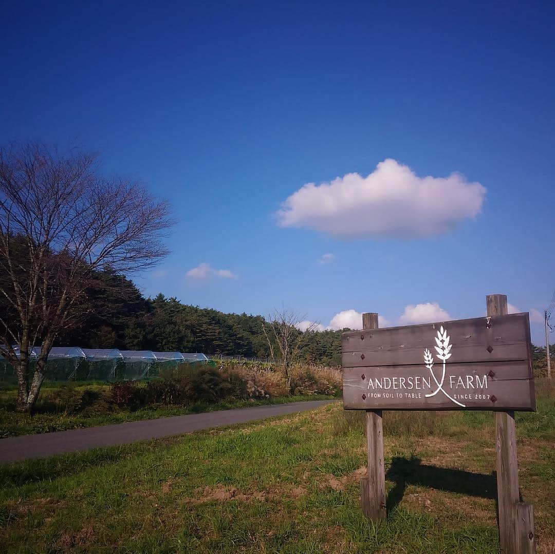 のインスタグラム：「アンデルセンファーム  広島県北広島町（旧 芸北町）にあるアンデルセンファーム。「土づくりから食卓づくりまで」のトータルストーリーのもと、パンのある豊かな食卓に役立つことを目指し、2005年に設立しました。  パンや洋菓子づくりに適したりんご3品種 約5,300本、 ワインの原料となるぶどうは5品種 約1,000本を栽培しています。  紅玉、シナノゴールド、グラニースミスの3品種は アンデルセンファーム林檎ジュースや芸北りんごジャム、芸北りんごのケーキとして商品化されています。  この度、アンデルセンファームで育ったりんごで 新しい商品ができました！  詳しくは、明日以降ご紹介する NEWS をご覧ください☺︎ . #アンデルセンファーム #農場 #りんご #シナノゴールド #土づくりから食卓づくりまで #アンデルセン #ベーカリー #パン #アンデルセンのパン #パン屋 #ヒュッゲ #広島 . #andersen #bakery #bread #instabread #instafood #farm #hiroshima」