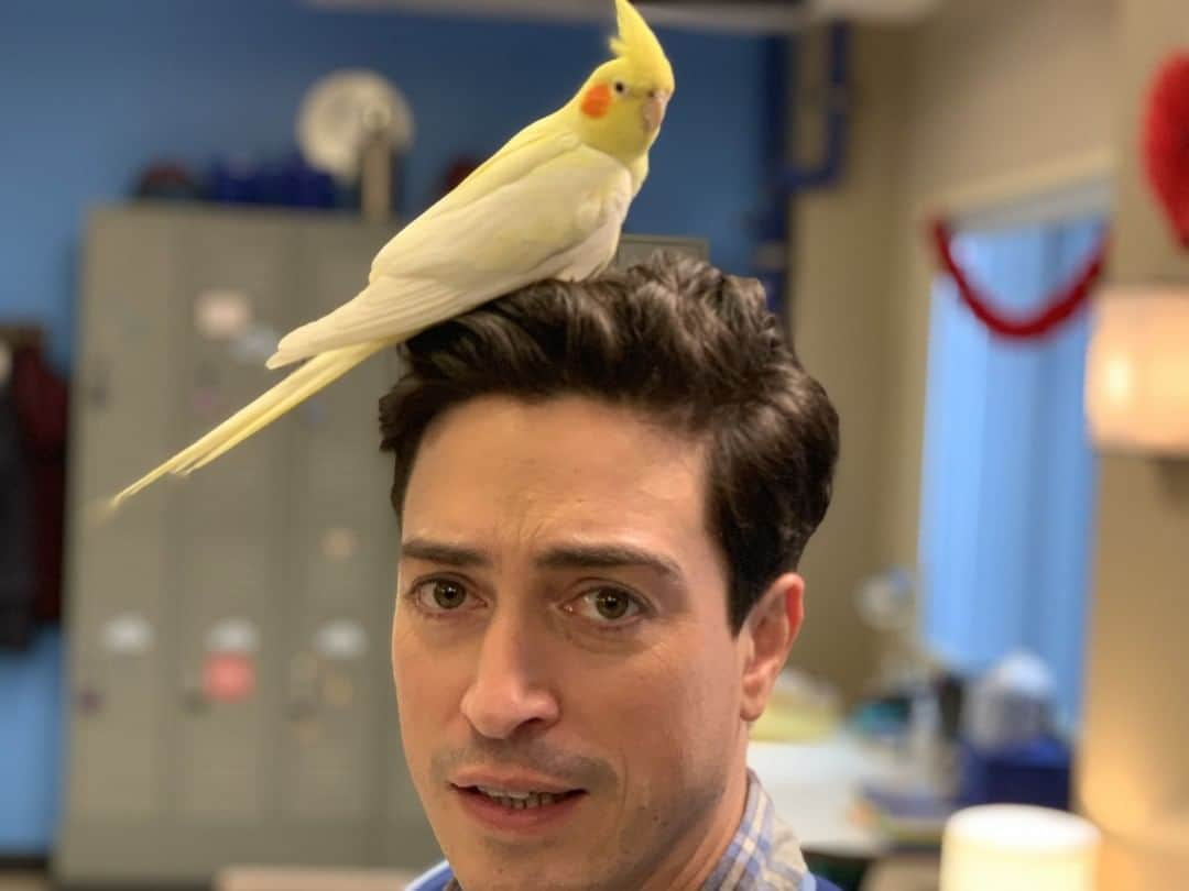 コルトン・ダンさんのインスタグラム写真 - (コルトン・ダンInstagram)「Proof @benmfeldman is a bird brain. 👍🏽 if you’re ready for tonight’s #Superstore!」3月29日 8時00分 - captdope