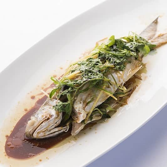 Trump Waikikiさんのインスタグラム写真 - (Trump WaikikiInstagram)「Moi, or Pacific Threadfin, was once reserved for only ancient Hawaiian royalty to dine on.  At Wai‘olu Ocean Cuisine, this delicate white fish is available and prepared steamed Chinese-style with cilantro, fresh ginger, green onion and soy sauce.  Experience our new seafood dinner menu. Dining reservations ‪808.683.7456‬  Complimentary 4-hour validated parking. #trumpwaikiki #waioluoceancuisine #seafood #seafoodrestaurantwaikiki #moi #fish」3月29日 8時29分 - trumpwaikiki