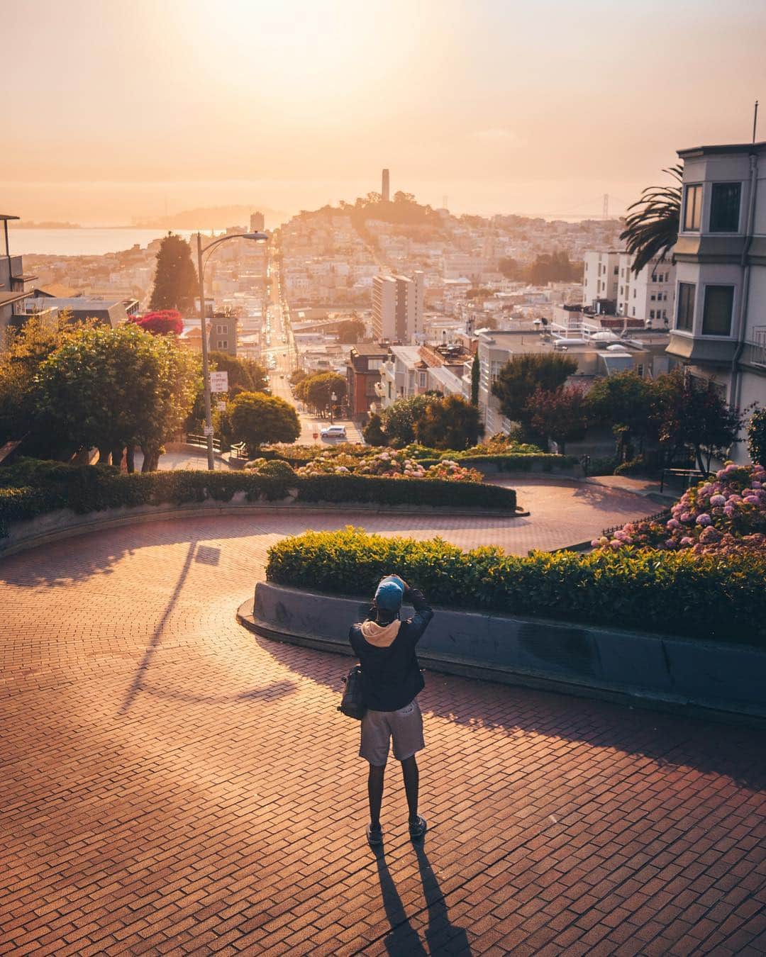 AIR CANADAさんのインスタグラム写真 - (AIR CANADAInstagram)「Want to spend your next vacation winding down the world-famous Lombard Street? We fly non-stop to San Francisco from Montreal, Toronto, Edmonton, Calgary and Vancouver, so you can spend less time in the air and more time on the world's crookedest street! . . Vous rêvez de voir la fameuse rue Lombard lors de vos prochaines vacances? Nous offrons des liaisons sans escale entre San Francisco et Montréal, Toronto, Edmonton, Calgary et Vancouver. Prenez un vol direct pour emprunter la rue la plus sinueuse au monde!」3月29日 8時33分 - aircanada