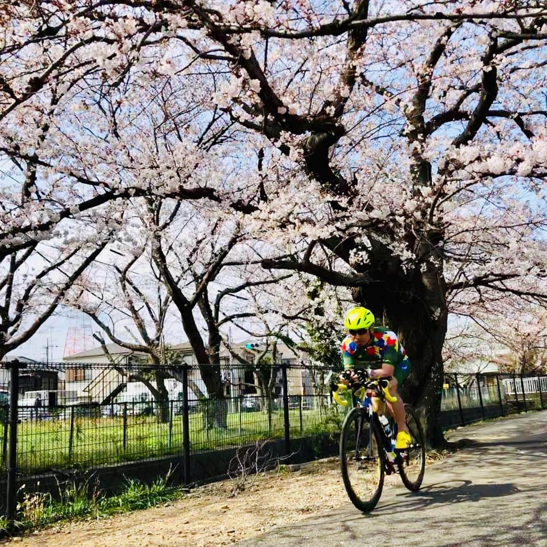 団長安田のインスタグラム