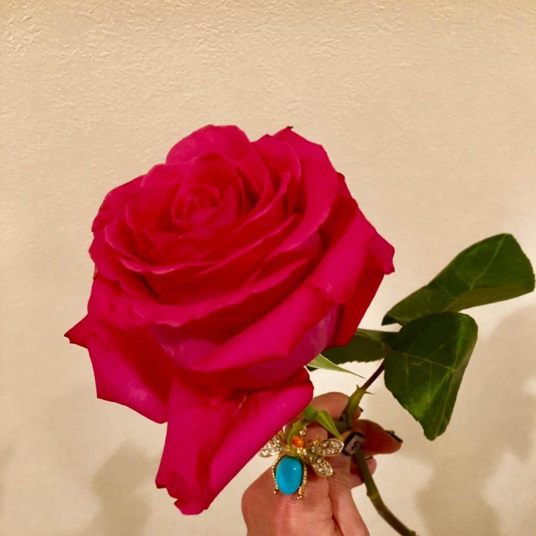 夏木マリさんのインスタグラム写真 - (夏木マリInstagram)「おはようございます。  香華、、、 よい日を〜  #おはようシリーズ #goodmorning  #お花シリーズ #OneofloveプロジェクトGIG #6.18 #goodday #natsukirock  #marinatsuki #Corona #私を生きて #夏木マリ」3月29日 9時11分 - mari_natsuki