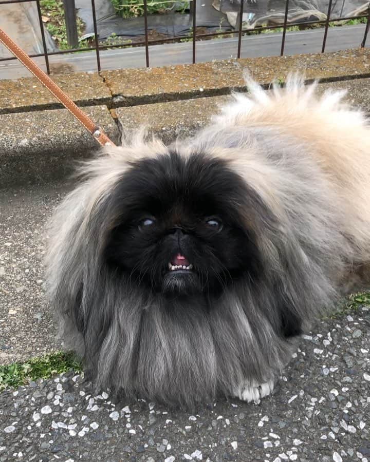 宮田和弥のインスタグラム