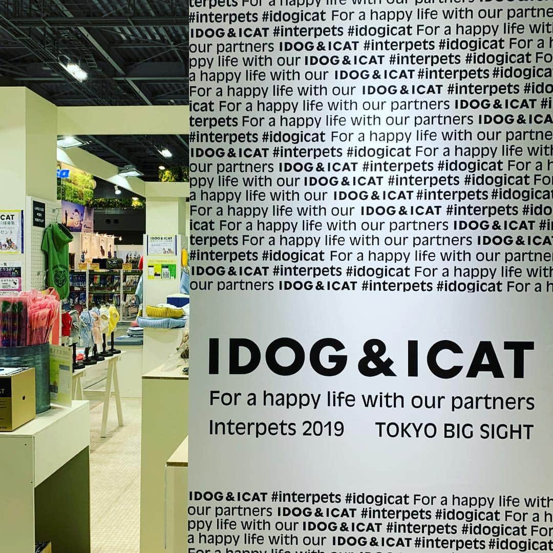 iDog&iCatさんのインスタグラム写真 - (iDog&iCatInstagram)「🎉 * おはようございます☀ 本日よりインターペットは一般入場開始しております！ * ブースの向かって右手には撮影にもぴったりな撮影ボードをご用意しております❣️ 撮影小物も貸し出し中です。 * 今回の展示では、keatの新作も参考展示しております。フードボウルも新作ですよ〜 * また、IDOG&ICATのグッズを着用してブースにご来場いただくと、先着でハニークリームのサンプルをプレゼント🎁 * 本日の販売は13時からとなっておりますのでご注意ください。午前中はごゆっくり新作を見ていただけます。来場特典のクリアファイルも配布しておりますので是非ご来場ください☺️ * インターペット限定パッケージのおやつは常時販売中です🍭 * #犬の服idog #idog #icat #idogicat #インターペット #インターペット2019 #特典」3月29日 10時20分 - idogicat
