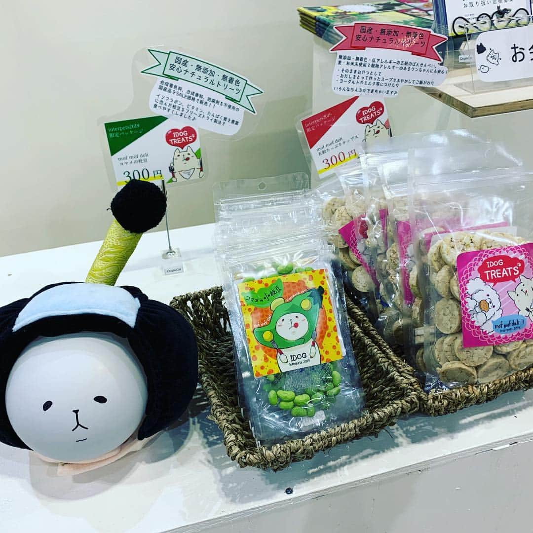 iDog&iCatさんのインスタグラム写真 - (iDog&iCatInstagram)「🎉 * おはようございます☀ 本日よりインターペットは一般入場開始しております！ * ブースの向かって右手には撮影にもぴったりな撮影ボードをご用意しております❣️ 撮影小物も貸し出し中です。 * 今回の展示では、keatの新作も参考展示しております。フードボウルも新作ですよ〜 * また、IDOG&ICATのグッズを着用してブースにご来場いただくと、先着でハニークリームのサンプルをプレゼント🎁 * 本日の販売は13時からとなっておりますのでご注意ください。午前中はごゆっくり新作を見ていただけます。来場特典のクリアファイルも配布しておりますので是非ご来場ください☺️ * インターペット限定パッケージのおやつは常時販売中です🍭 * #犬の服idog #idog #icat #idogicat #インターペット #インターペット2019 #特典」3月29日 10時20分 - idogicat