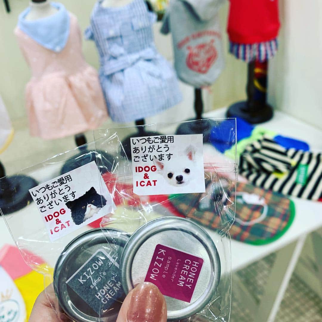 iDog&iCatさんのインスタグラム写真 - (iDog&iCatInstagram)「🎉 * おはようございます☀ 本日よりインターペットは一般入場開始しております！ * ブースの向かって右手には撮影にもぴったりな撮影ボードをご用意しております❣️ 撮影小物も貸し出し中です。 * 今回の展示では、keatの新作も参考展示しております。フードボウルも新作ですよ〜 * また、IDOG&ICATのグッズを着用してブースにご来場いただくと、先着でハニークリームのサンプルをプレゼント🎁 * 本日の販売は13時からとなっておりますのでご注意ください。午前中はごゆっくり新作を見ていただけます。来場特典のクリアファイルも配布しておりますので是非ご来場ください☺️ * インターペット限定パッケージのおやつは常時販売中です🍭 * #犬の服idog #idog #icat #idogicat #インターペット #インターペット2019 #特典」3月29日 10時20分 - idogicat