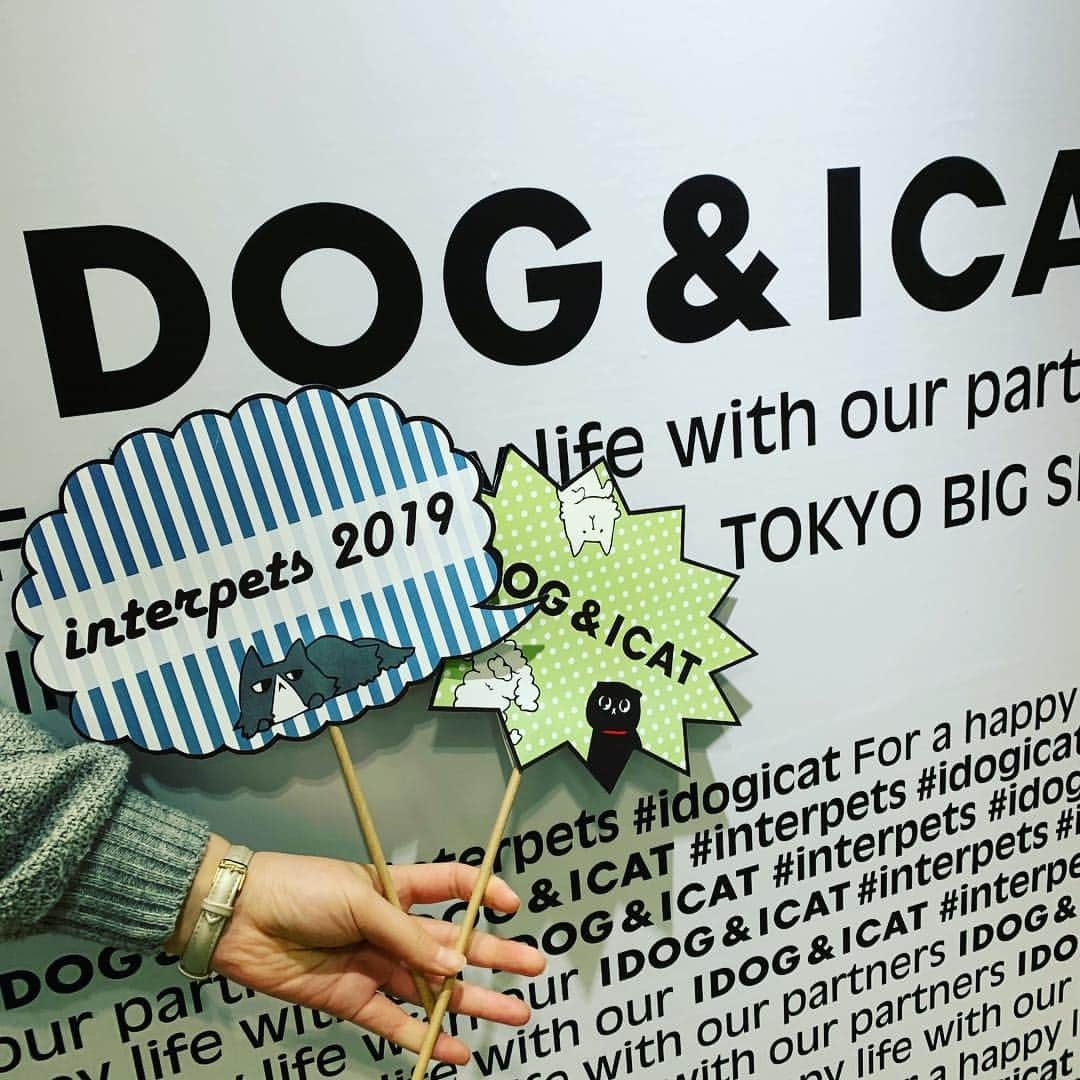 iDog&iCatさんのインスタグラム写真 - (iDog&iCatInstagram)「🎉 * おはようございます☀ 本日よりインターペットは一般入場開始しております！ * ブースの向かって右手には撮影にもぴったりな撮影ボードをご用意しております❣️ 撮影小物も貸し出し中です。 * 今回の展示では、keatの新作も参考展示しております。フードボウルも新作ですよ〜 * また、IDOG&ICATのグッズを着用してブースにご来場いただくと、先着でハニークリームのサンプルをプレゼント🎁 * 本日の販売は13時からとなっておりますのでご注意ください。午前中はごゆっくり新作を見ていただけます。来場特典のクリアファイルも配布しておりますので是非ご来場ください☺️ * インターペット限定パッケージのおやつは常時販売中です🍭 * #犬の服idog #idog #icat #idogicat #インターペット #インターペット2019 #特典」3月29日 10時20分 - idogicat