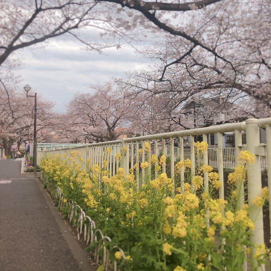 折原みかのインスタグラム