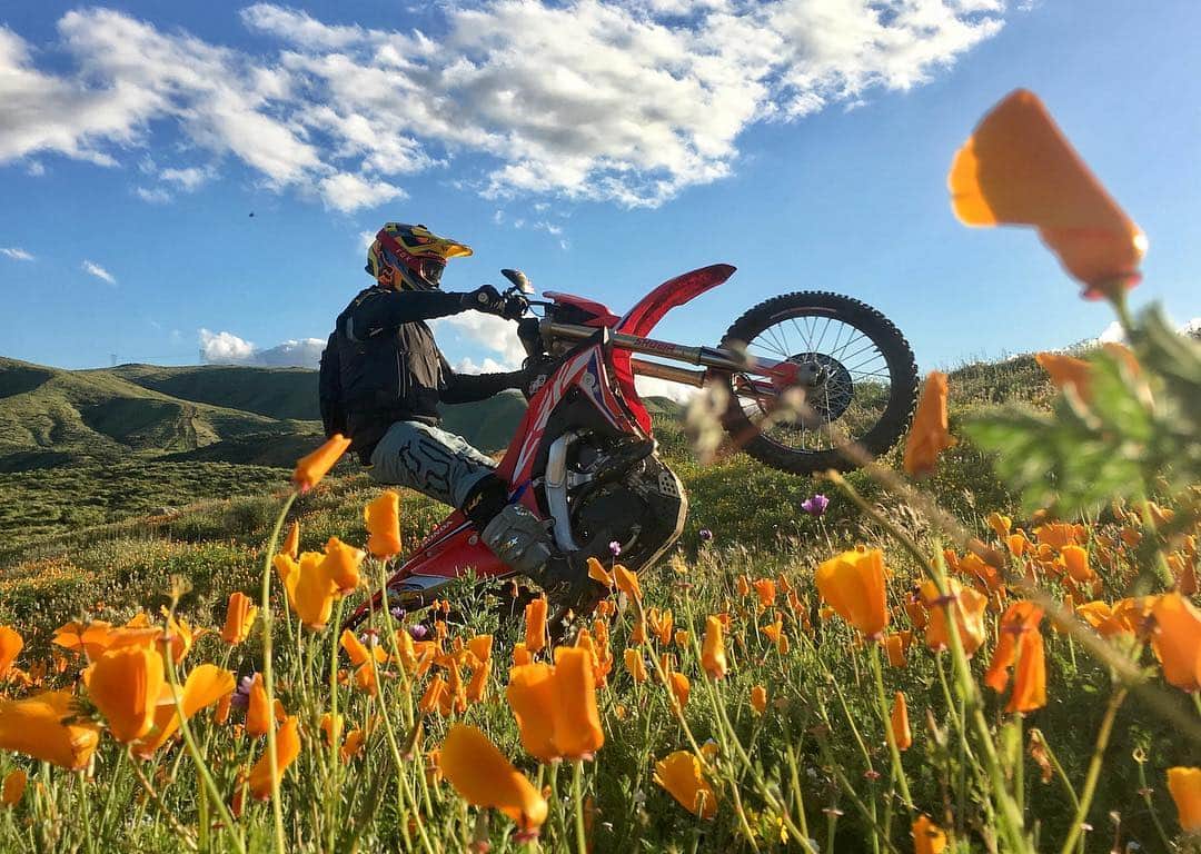 Honda Powersports USのインスタグラム