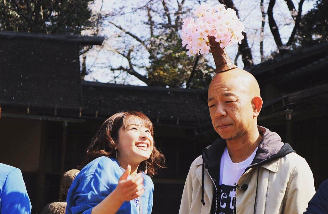 フジテレビ「もしもツアーズ」さんのインスタグラム写真 - (フジテレビ「もしもツアーズ」Instagram)「明日18:30から‼️ 都内の桜ベスト10全て見せます‼️🌸❤️❤️ 顔🤣‼️ 🌸🌸🌸🌸🌸🌸🌸🌸🌸🌸🌸 ゲストは #小峠英二 さん #バイきんぐ #バイきんぐ小峠 週替わりメンバーは #kismyft2 #キスマイ #北山宏光 #ヒロミツ #千賀健永 #千ちゃん #宮田俊哉 #みやっち  #玉森裕太 #タマ #平祐奈 #祐奈ちゃん #もしもツアーズ #もしツア #桜 #春 #spring #cherryblossom #花見 #お花見 #夜桜 #さくら #花より団子 #三瓶です」3月29日 11時13分 - moshitsua_official