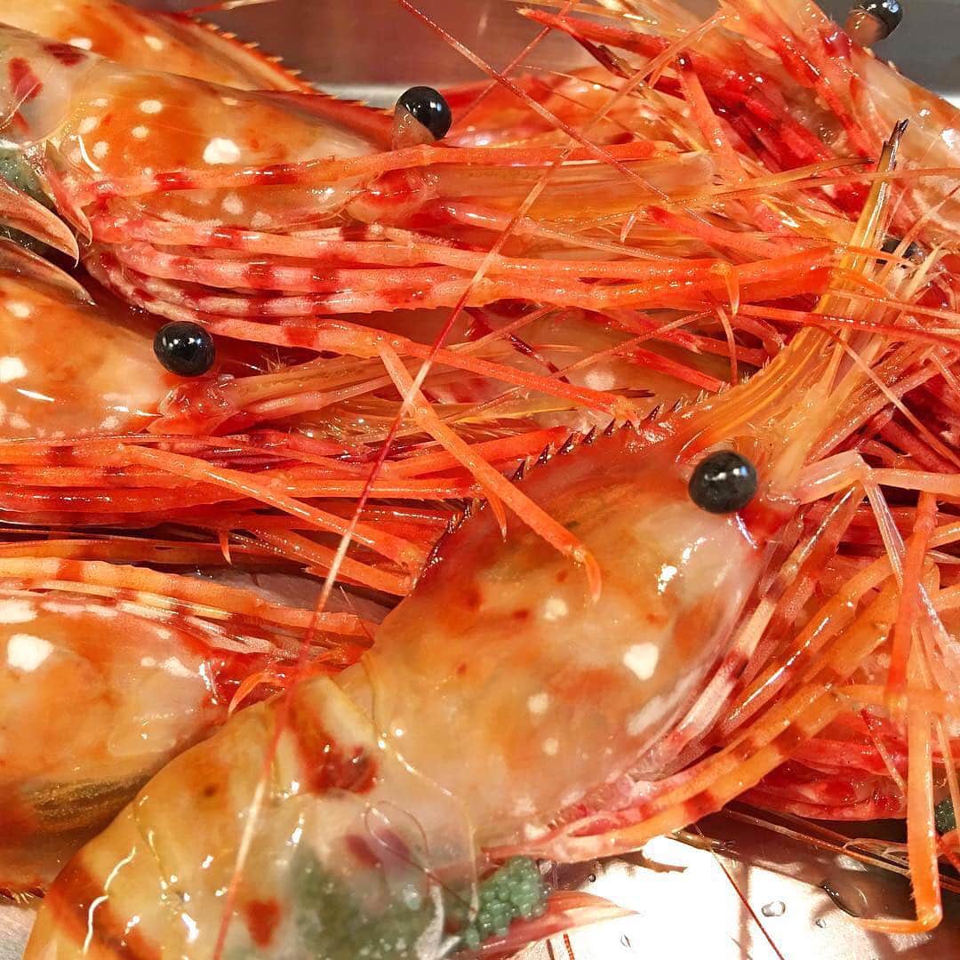 寿司居酒屋 番屋のグルメインスタ