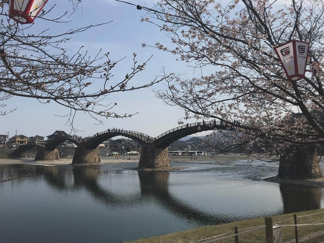 岡村明奈さんのインスタグラム写真 - (岡村明奈Instagram)「大好きな桜もう少ししたら満開かな🌸 #🌸 #お花見 #🐶」3月29日 20時45分 - akky1226