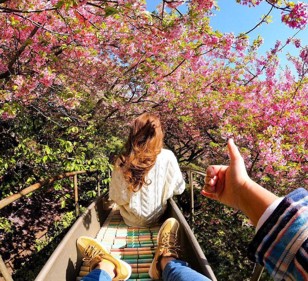 GoProさんのインスタグラム写真 - (GoProInstagram)「春がきた。🌸 早咲きの #河津桜 に囲まれながら走れる #西平畑公園 ロング滑り台から @vx_gopro.gram_xv の一枚。 #GoProHERO7 Black、タイムラプスフォト 0.5秒で撮影。 ・ ・ ・ #GoPro #GoProJP #GoProTravelJapan #GoProのある生活 #桜 #春 #神奈川 #CherryBlossom #Sakura」3月29日 20時44分 - goprojp