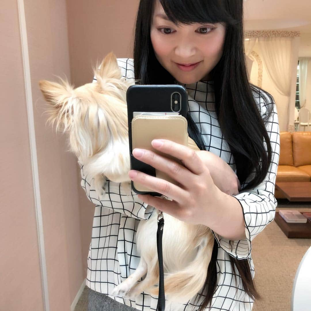 大西結花さんのインスタグラム写真 - (大西結花Instagram)「友達のワンワン"ぴよ"くんと❤️🐶 ちっちゃくてめちゃ可愛い良い子💕  犬の匂いがこれがまた大好きすぎる😍 とうもろこし、コーンポタージュ臭。笑  #ちわわ #チワワ #chihuahua #犬 #いぬすたぐらむ #dog #dogs #いぬらぶ #yuka #yukaonishi #大西結花 #doglovers #rakuni」3月29日 20時57分 - yukaonishi_