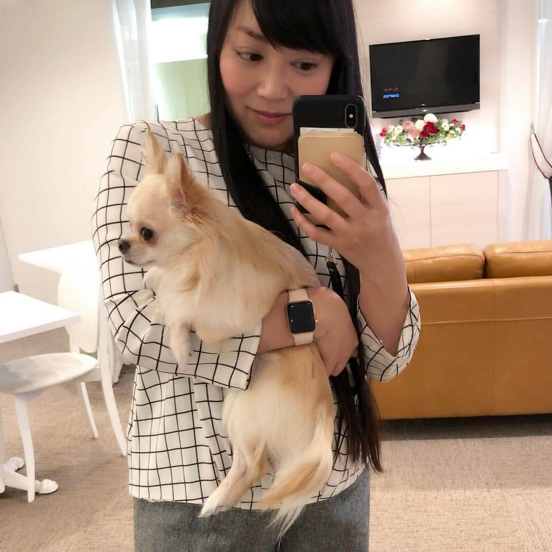 大西結花さんのインスタグラム写真 - (大西結花Instagram)「友達のワンワン"ぴよ"くんと❤️🐶 ちっちゃくてめちゃ可愛い良い子💕  犬の匂いがこれがまた大好きすぎる😍 とうもろこし、コーンポタージュ臭。笑  #ちわわ #チワワ #chihuahua #犬 #いぬすたぐらむ #dog #dogs #いぬらぶ #yuka #yukaonishi #大西結花 #doglovers #rakuni」3月29日 20時57分 - yukaonishi_