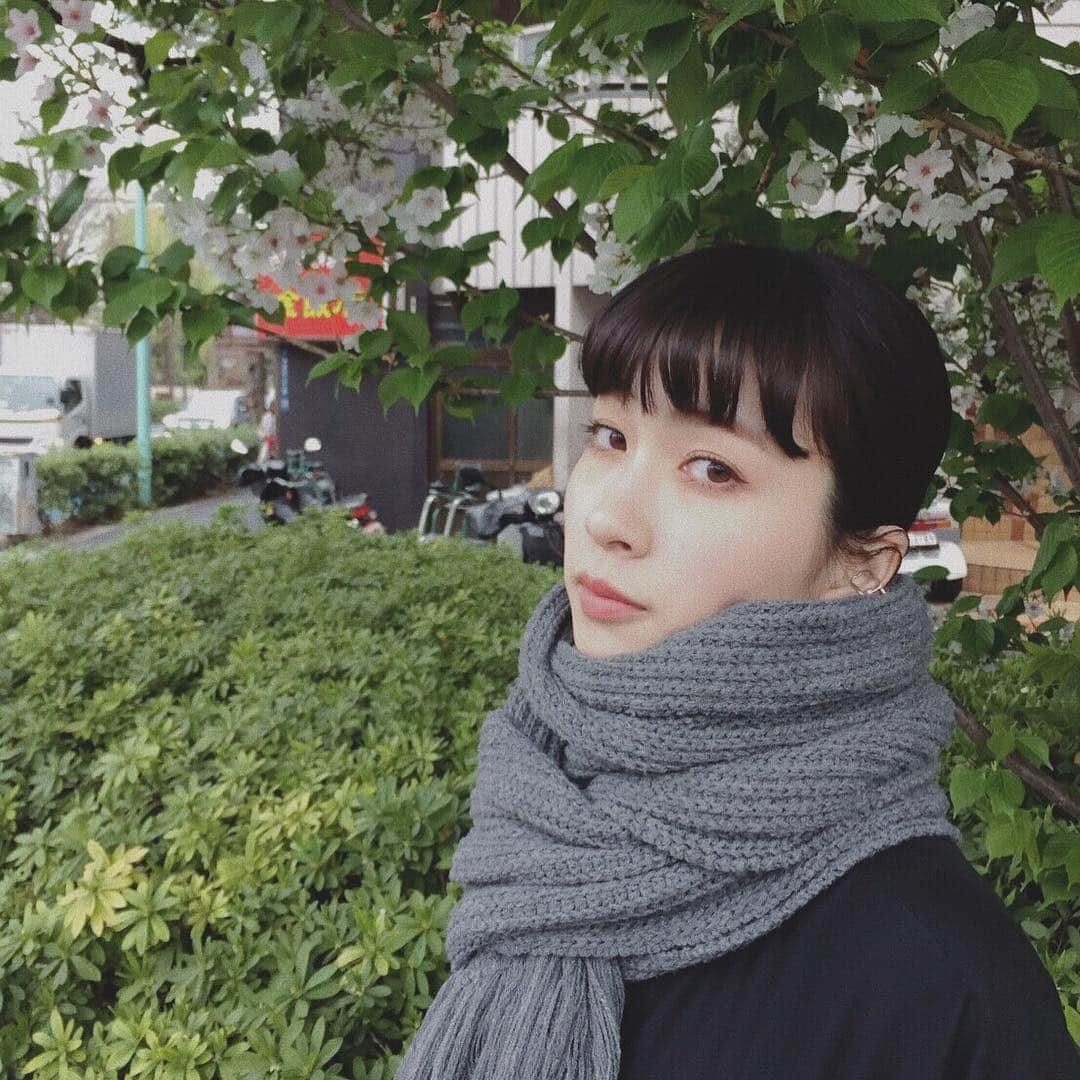 うちだゆうほさんのインスタグラム写真 - (うちだゆうほInstagram)「今日はせっかく咲いた桜もびっくりな寒さでしたね、、 ﻿ ﻿ さてさて、﻿ ﻿ Nora Lily POP UP SHOP in 阪急うめだ 3F﻿ ﻿ 明日 3月30日 土曜日 13:00〜19:00﻿ ﻿ お待ちしてます🐈💖﻿ ﻿ ﻿ 平成最後に会いに来てね。﻿ ﻿ 詳細は２つ前の投稿、もしくは @noralily_official の最新の投稿をチェック！してください〜！」3月29日 21時00分 - uchidayuho