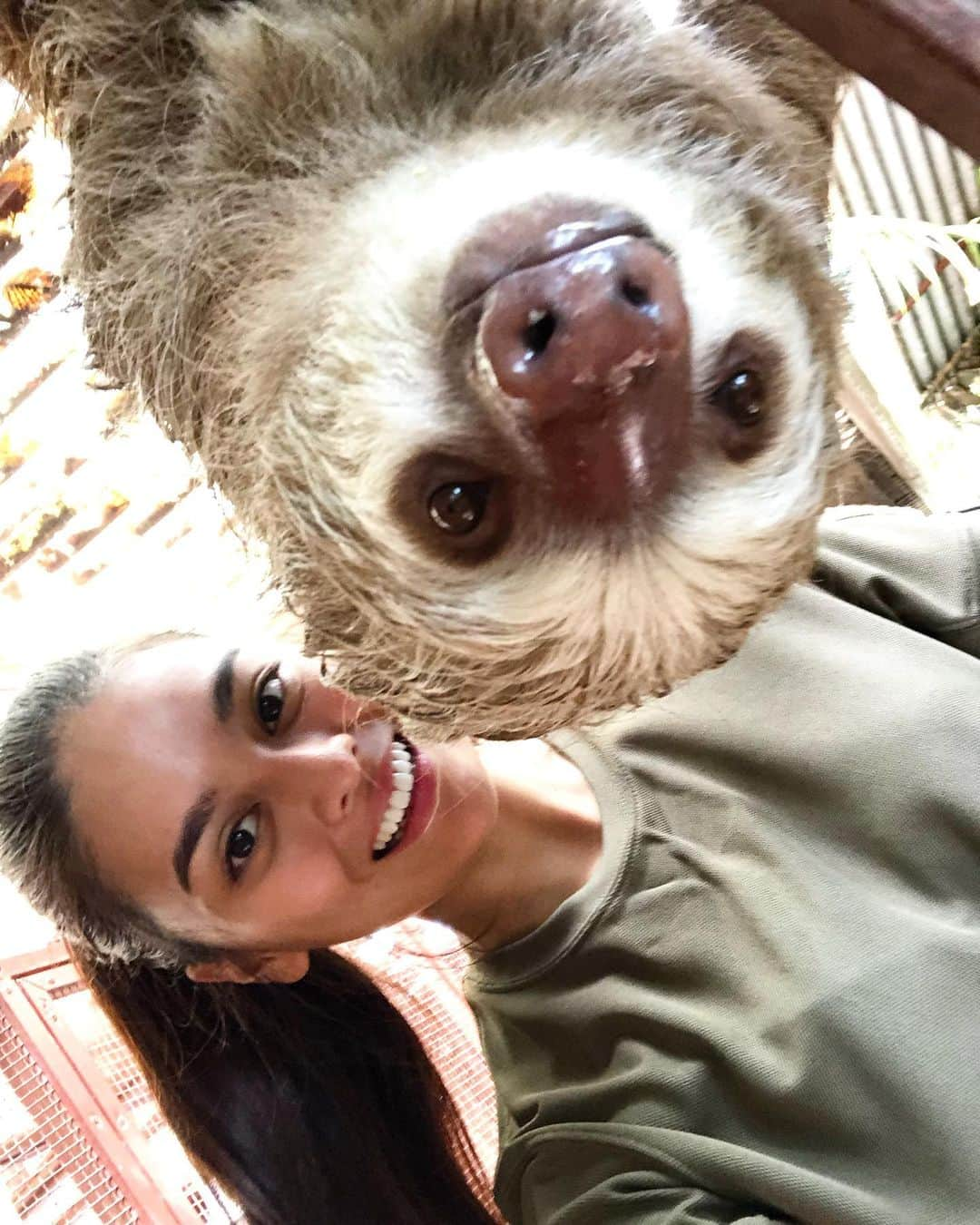 遊海 Yuumiさんのインスタグラム写真 - (遊海 YuumiInstagram)「OLA ❤️ sloth selfie ❤︎❤︎ 明日 土曜日 19時 天才！ 志村どうぶつ園 見てください！ 見えなかったら録画してください❤︎ 絶滅0部 がナマケモノ王国 に ！ tmr Saturday 7pm on Nippon TV. @shimura_zoo_ntv  #天才志村どうぶつ園 #絶滅0部 #加藤ゆうみ #日本テレビ」3月29日 21時05分 - yuumi_kato