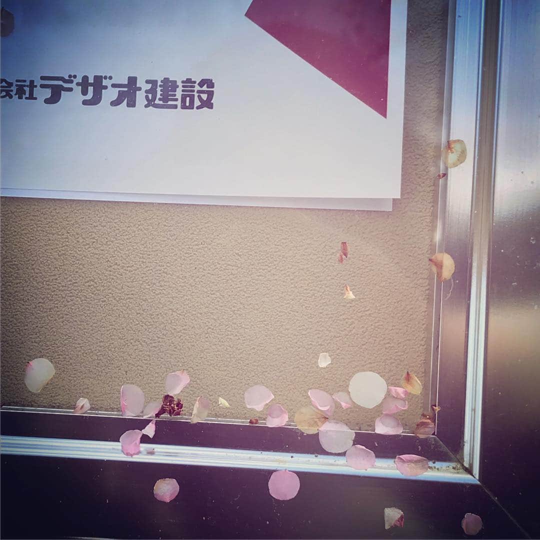 デザオ建設北野展示場のインスタグラム