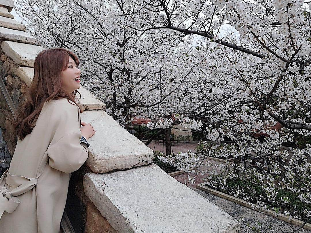 悠衣さんのインスタグラム写真 - (悠衣Instagram)「🌸 ディズニーで桜が見れるなんて💕」3月29日 21時24分 - yu1_1987