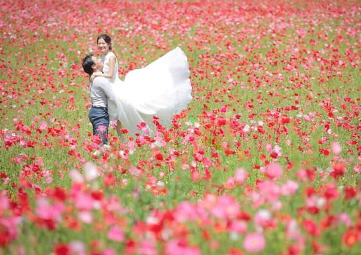 プレ花嫁の結婚式準備アプリ♡ -ウェディングニュースさんのインスタグラム写真 - (プレ花嫁の結婚式準備アプリ♡ -ウェディングニュースInstagram)「オシャレで可愛いウェディングフォト10枚🌸💕 * * * こちらのお写真は #フォトグラファー @michie_kaibara_aqua さんからリグラムさせていただきました🌟 * #ウェディングニュース のタグにお写真を投稿してくださり、ありがとうございました😊✨ * * * * * どれも素敵なmichie_kaibara_aquaさんの #ウェディングフォト 💓 * カバーは神奈川県横須賀にある【くりはま花の国】でのフォト💓 * ポピー畑の真ん中で #ドレス がふわっとなびく抱っこショットがとっても素敵ですよね😍💕 * #お花畑 でのフォトは女の子なら1度は憧れたことがあるはず🌼💓 * 好きなお花に囲まれたフォトはぜひ残しておきたいですよね😊 * ほかのフォトもどれもとっても素敵なのでぜひスワイプ👉🏻してチェックしてみてくださいね✨ * * * * ＼📷投稿お待ちしています／ * 花嫁はもちろん、業者さんも大歓迎✨ アナタのお写真をご紹介してもOKという方は、ぜひ #ウェディングニュース にお写真を投稿してください💕 * * ⬇︎関連アカウント⬇︎ * 💒式場検索 【 @weddingnews_concierge 】 👰マイレポ花嫁 【 @weddingnews_brides 】 🎉プレゼントキャンペーン 【 @weddingnews_event 】 * * その他、編集部からの連絡専用 @weddingnews_contact や、スタッフ個人の連絡用として @WN_xxxx（xxxは個人名）があります💕 * ………………………………………… ❤️WeddingNewsとは？ * * 花嫁のリアルな”声”から生まれた 花嫁支持率No1✨スマホアプリです📱💕 * * 🌸知りたい… #結婚式準備 に役立つ記事を毎日150件配信中♩ * 🌸見たい… インスタの #ウェディング 系投稿TOP100が毎日チェックできる＊IG画像の複数ワード検索も可♩ * 🌸叶えたい… #結婚式 関連の予約サイトが大集合♩ * 🌸伝えたい… 自分の結婚式レポ『マイレポ』が簡単に作れる♩先輩花嫁のレポが読める♩ * * @weddingnews_editor のURLからDLしてね✨ * * * #プレ花嫁 #結婚  #花嫁  #ウエディング #フォトウェディング #ロケーションフォト #ブーケ #ファインダー越しの私の世界 #前撮り #ナチュラルウェディング #お花見 #日本中のプレ花嫁さんと繋がりたい #桜 #フォトジェニック #2020春婚 #2019夏婚 #2019秋婚 #プレ花嫁準備 #結婚写真 #花畑」3月29日 21時25分 - weddingnews_editor