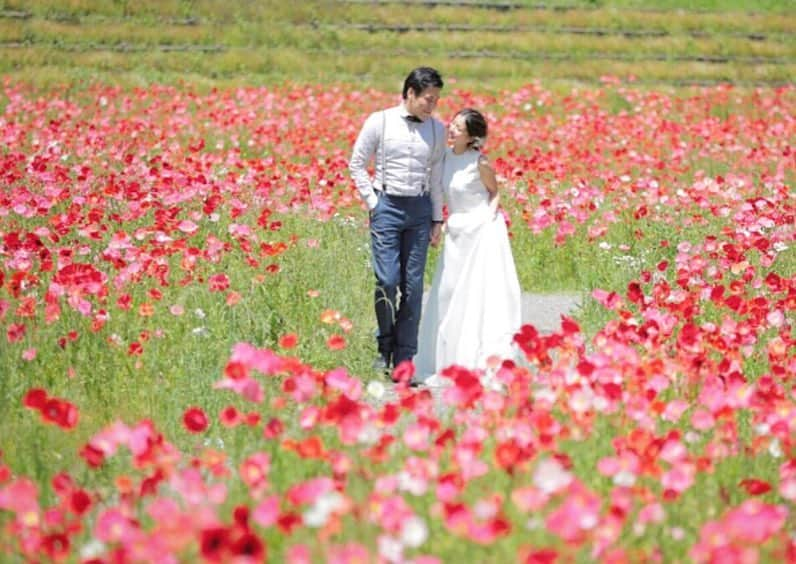 プレ花嫁の結婚式準備アプリ♡ -ウェディングニュースさんのインスタグラム写真 - (プレ花嫁の結婚式準備アプリ♡ -ウェディングニュースInstagram)「オシャレで可愛いウェディングフォト10枚🌸💕 * * * こちらのお写真は #フォトグラファー @michie_kaibara_aqua さんからリグラムさせていただきました🌟 * #ウェディングニュース のタグにお写真を投稿してくださり、ありがとうございました😊✨ * * * * * どれも素敵なmichie_kaibara_aquaさんの #ウェディングフォト 💓 * カバーは神奈川県横須賀にある【くりはま花の国】でのフォト💓 * ポピー畑の真ん中で #ドレス がふわっとなびく抱っこショットがとっても素敵ですよね😍💕 * #お花畑 でのフォトは女の子なら1度は憧れたことがあるはず🌼💓 * 好きなお花に囲まれたフォトはぜひ残しておきたいですよね😊 * ほかのフォトもどれもとっても素敵なのでぜひスワイプ👉🏻してチェックしてみてくださいね✨ * * * * ＼📷投稿お待ちしています／ * 花嫁はもちろん、業者さんも大歓迎✨ アナタのお写真をご紹介してもOKという方は、ぜひ #ウェディングニュース にお写真を投稿してください💕 * * ⬇︎関連アカウント⬇︎ * 💒式場検索 【 @weddingnews_concierge 】 👰マイレポ花嫁 【 @weddingnews_brides 】 🎉プレゼントキャンペーン 【 @weddingnews_event 】 * * その他、編集部からの連絡専用 @weddingnews_contact や、スタッフ個人の連絡用として @WN_xxxx（xxxは個人名）があります💕 * ………………………………………… ❤️WeddingNewsとは？ * * 花嫁のリアルな”声”から生まれた 花嫁支持率No1✨スマホアプリです📱💕 * * 🌸知りたい… #結婚式準備 に役立つ記事を毎日150件配信中♩ * 🌸見たい… インスタの #ウェディング 系投稿TOP100が毎日チェックできる＊IG画像の複数ワード検索も可♩ * 🌸叶えたい… #結婚式 関連の予約サイトが大集合♩ * 🌸伝えたい… 自分の結婚式レポ『マイレポ』が簡単に作れる♩先輩花嫁のレポが読める♩ * * @weddingnews_editor のURLからDLしてね✨ * * * #プレ花嫁 #結婚  #花嫁  #ウエディング #フォトウェディング #ロケーションフォト #ブーケ #ファインダー越しの私の世界 #前撮り #ナチュラルウェディング #お花見 #日本中のプレ花嫁さんと繋がりたい #桜 #フォトジェニック #2020春婚 #2019夏婚 #2019秋婚 #プレ花嫁準備 #結婚写真 #花畑」3月29日 21時25分 - weddingnews_editor