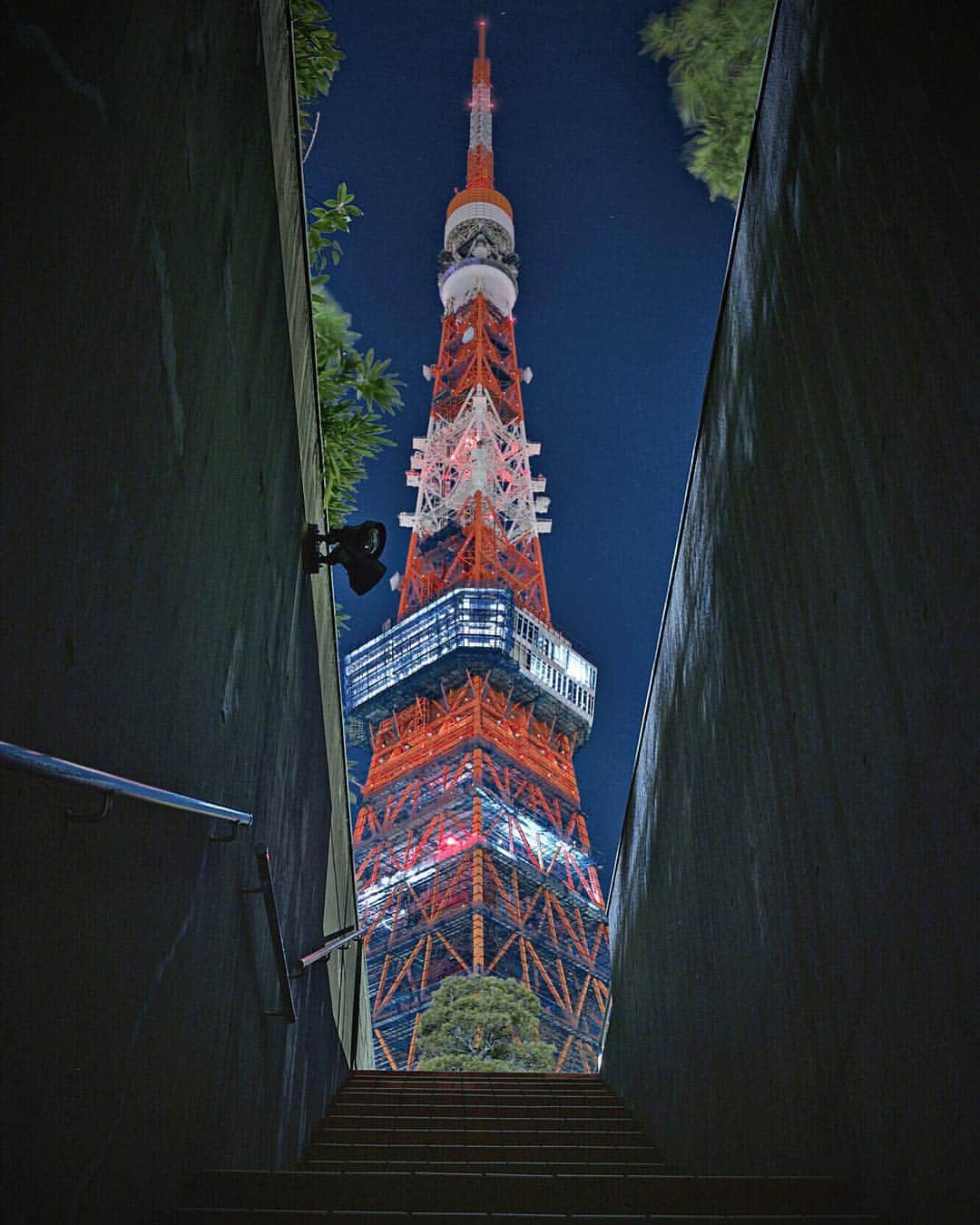 ❤?❤❤❤ Sayo ??❤?❤️❤️❤️のインスタグラム：「★ Tokyo Tower 東京タワー🗼★. . Have a wonderful weekend!!😘💖. 桜開花のニュースで賑わう今日この頃🌸 ここは敢えての東京タワーで😅👍🏻🗼明日は冷え込むみたいなので皆様暖かい格好でお花見にお出かけ下さい🌸 素敵な週末を😘🌸🌸.. Location Tokyo Japan 東京 . . #IGersJP  #as_archive  #東京カメラ部 #instagramjapan  #instagram  #pt_life_  #pocket_nights  #jaw_dropping_shots #theworldshotz #ig_nightview  #longexposure_japan  #Japan_Night_View  #bestphoto_japan #s_shot  #photo_jpn #広がり同盟  #ptk_japan #japan_of_insta #ap_japan_  #super_japan_channel  #hubsplanet  #IG_JAPAN #jp_gallery #special_spot_ #photo_travelers  #addicted_to_nights  #super_night_channel  #night_gram #light_nikon #night_captures」