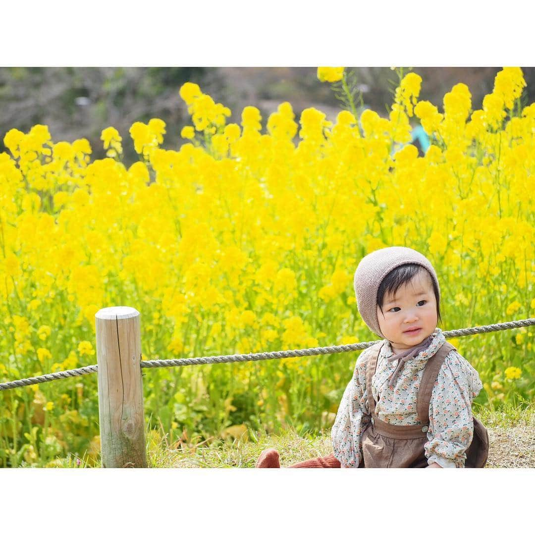 Kyooonさんのインスタグラム写真 - (KyooonInstagram)「次女と菜の花をみに🌼﻿ 桜はまだ咲いてなかったなぁ﻿ 明日からまた寒くなるみたいで早く暖かくなってほしい🌷﻿ ﻿ ﻿ ﻿ 長女は今日で年少さん最後の登園でした✨﻿ 大好きな大好きな担任の先生が2人とも退職されるので今日で会うのも最後😭親の方が寂しい😭﻿ ﻿ 自分で選んだレターセットに似顔絵とメッセージを書いたんだけど、なんて書こう？と聞くと﻿ ﻿ 「たくさんあそんでくれてありがとう。﻿ だいすき。﻿ わすれないでね。」﻿ ﻿ だって。﻿ わすれないでね、なんて言葉が出てくると思ってなかったからうるっとしてしまった😭✨﻿ これからも素敵な出逢いと別れをたくさん経験して成長していってほしいな✨﻿ ﻿ 私のお腹がだんだん大きくなって次女が生まれて、この1年は長女もいろんな葛藤があって朝泣く日も多かったけど優しい先生方のおかげで楽しく登園できました✨感謝しかありません😭 さぁ4月からふたりとも新生活🌸楽しもうね✨﻿ #0歳#生後9ヶ月#菜の花#菜の花畑#韓国子供服#zarababy」3月29日 21時32分 - fancykyon