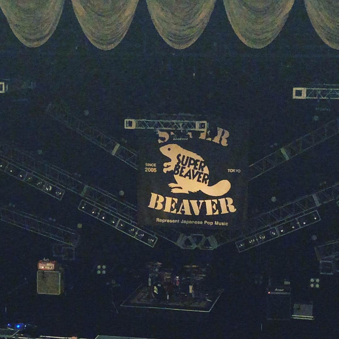 阿部洋子さんのインスタグラム写真 - (阿部洋子Instagram)「🎶 ワクワクが止まらーん！ 愛と優しさに溢れるLIVE。 メッセージ、会場中に伝わってました。 久々に音を浴びた！ 何度鳥肌立ったことか！ 🎶 #充電完了  #SUPERBEAVER #live  #thankyou 渋谷さんのコダワリのシャツもいい味出してた😝」3月29日 21時32分 - hirocoring