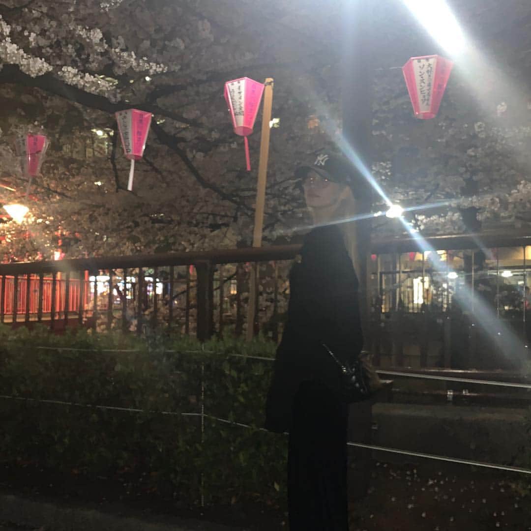 楓さんのインスタグラム写真 - (楓Instagram)「桜が散る前に ミユウとアンちゃんと 春を感じてきました🌸」3月29日 21時39分 - kaede_