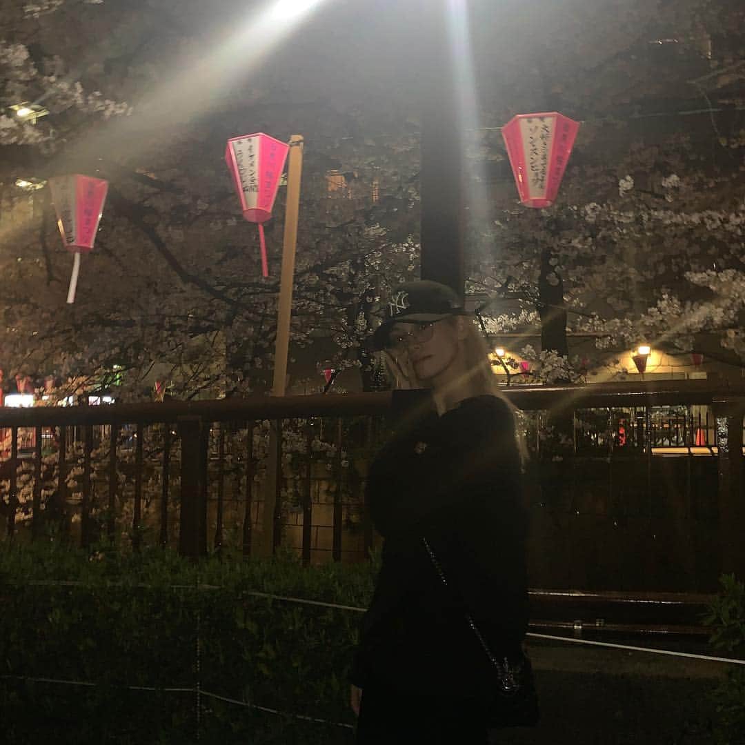楓さんのインスタグラム写真 - (楓Instagram)「桜が散る前に ミユウとアンちゃんと 春を感じてきました🌸」3月29日 21時39分 - kaede_