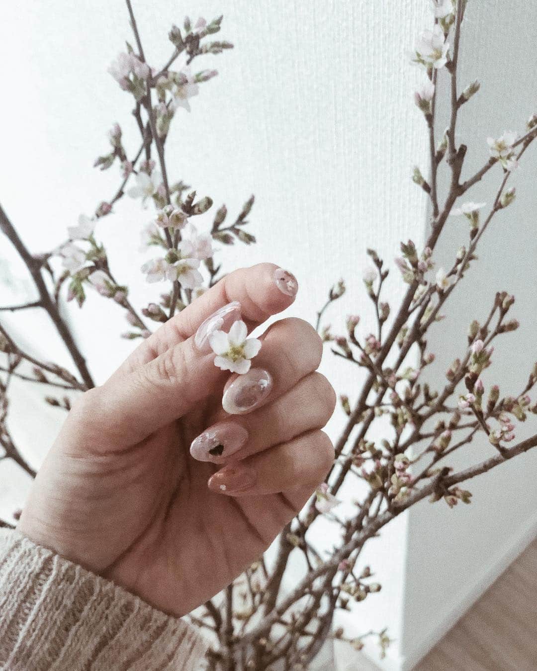 のインスタグラム：「寒過ぎてお花見出来ないから 桜を買ってみた🌸笑 1本600円ぐらいなんだよー☺️✨ 結構長持ちするし最近毎年飾ってる…♡ ・ ・ ・ あとネイルも桜色に変えたよ♡ めちゃめちゃ可愛いーーー😭💕 ニュアンスネイル💅✨ さすが竹ちゃん♡ お揃いキャンペーンは いつでも、過去のデザインも 1万円で出来るので 予約の時にスタッフに伝えてください💕 @nailsalon_factorygirl ・ ・ ・ あとあと、 今ファクトリーガールでネイリストも募集しているそうです！ 気になる方は応募してみて下さい☺️💕 ・ ・ ・ ・ #nail#nailart#jelnail#ネイル#ネイルアート#ジェルネイル#ニュアンスネイル#桜#sakura#春#春ネイル#みかぷーネイル」