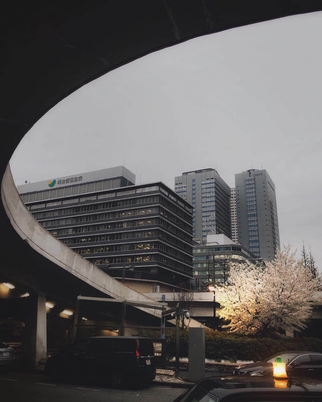 ima_ju / Jun Iのインスタグラム：「. . Urban Blossom | 俺流の桜 02 . . ::」