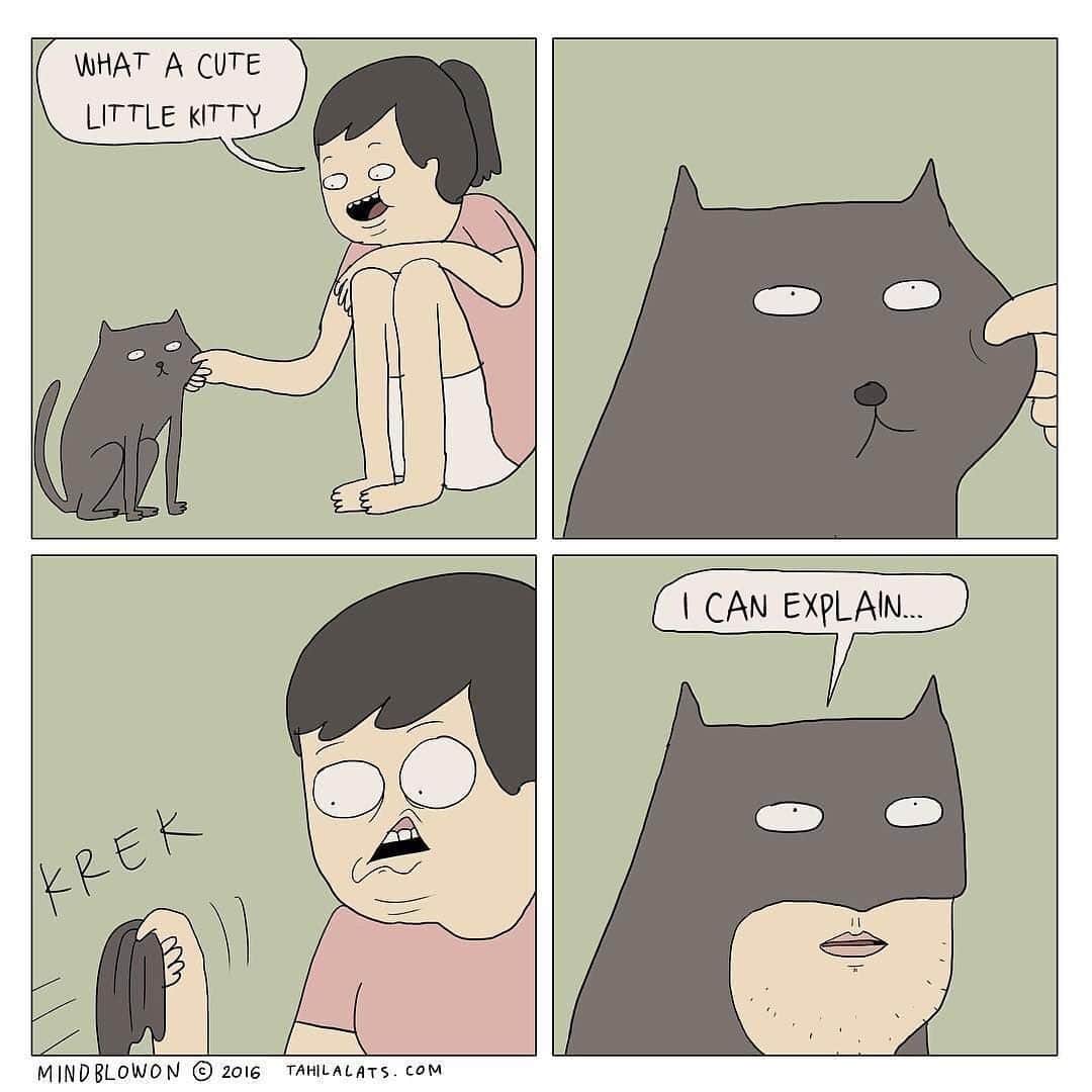 Aww Clubさんのインスタグラム写真 - (Aww ClubInstagram)「Flerken is that you⠀ ⠀ ✍🏼@mindblowoncomics⠀ ⠀ Submit us your meowdorable artwork and comics by tagging #9gagmeowdle to get featured on @meowed, @doodles or even @9gag. For March, we will share a bunch of cat arts with you all hoomans!⠀ ⠀ #meowed #doodle #9gagmeowdle #mindblowoncomics #catcomic #meowedcomic #DAFUQ #imbatman」3月29日 22時00分 - meowed