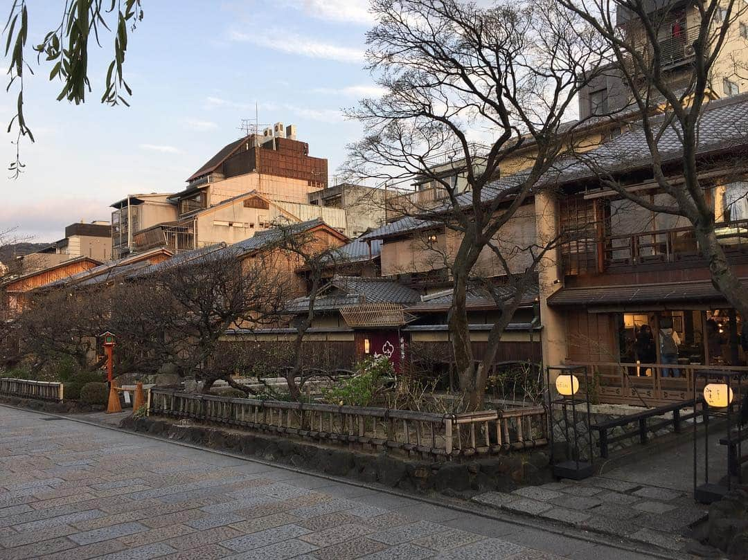 寺田御子さんのインスタグラム写真 - (寺田御子Instagram)「春ですね。お茶と酒たすきさんの桜餅です。待ってましたと言わんばかりの桜餅。塩漬け桜シロップともったり甘い桜餡クリームにバニラアイス入りの求肥。去年よりさらに美味しくなってて感動しました。母と祇園をお散歩しましたが、桜はまだ早かったようで残念。 #お茶と酒たすき #たすき #かき氷 #京都」3月29日 13時16分 - mikoterada