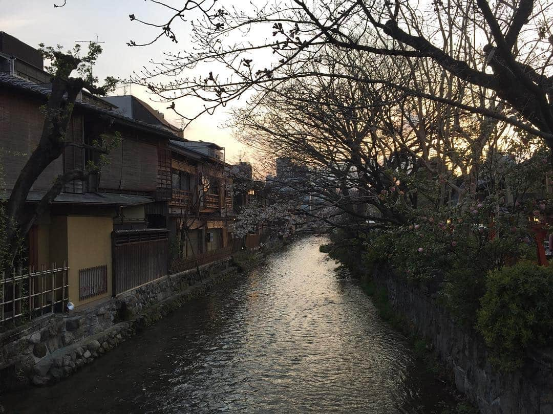 寺田御子さんのインスタグラム写真 - (寺田御子Instagram)「春ですね。お茶と酒たすきさんの桜餅です。待ってましたと言わんばかりの桜餅。塩漬け桜シロップともったり甘い桜餡クリームにバニラアイス入りの求肥。去年よりさらに美味しくなってて感動しました。母と祇園をお散歩しましたが、桜はまだ早かったようで残念。 #お茶と酒たすき #たすき #かき氷 #京都」3月29日 13時16分 - mikoterada