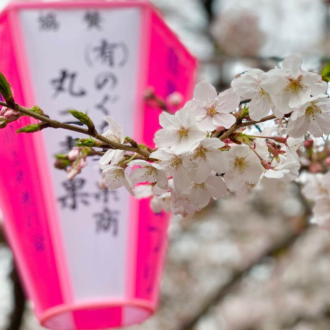 Chiakiさんのインスタグラム写真 - (ChiakiInstagram)「#🌸 #桜 #お花見 #目黒川 #中目黒」3月29日 13時19分 - chianyanchu