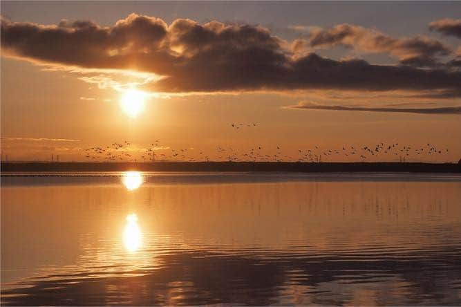 現地発信の旅行サイト「たびらい」さんのインスタグラム写真 - (現地発信の旅行サイト「たびらい」Instagram)「【北海道・苫小牧】 野鳥の楽園と呼ばれるウトナイ湖。3月には、マガンの群れが北へ向けて飛び立ちました。空を覆いつくすマガンたちは大迫力！　1年を通して野鳥観察が楽しめる湖の魅力は、「ウトナイ湖　たびらい」で検索♪ ： （写真／Ka-mmy☆） ： #たびらい #tabirai #たびらい北海道 #北海道 #hokkaido #ローカル旅行 #旅行好き #旅行好きな人と繋がりたい #旅行 #travelgram #travel #小旅行 #ファインダー越しの私の世界 #北海道旅行 #北海道好きな人と繋がりたい #苫小牧 #tomakomai #ウトナイ湖 #湖 #lake #春 #野鳥 #nature #sky #自然 #空 #夜明け #朝焼け #朝日 #早朝」3月29日 13時37分 - tabirai