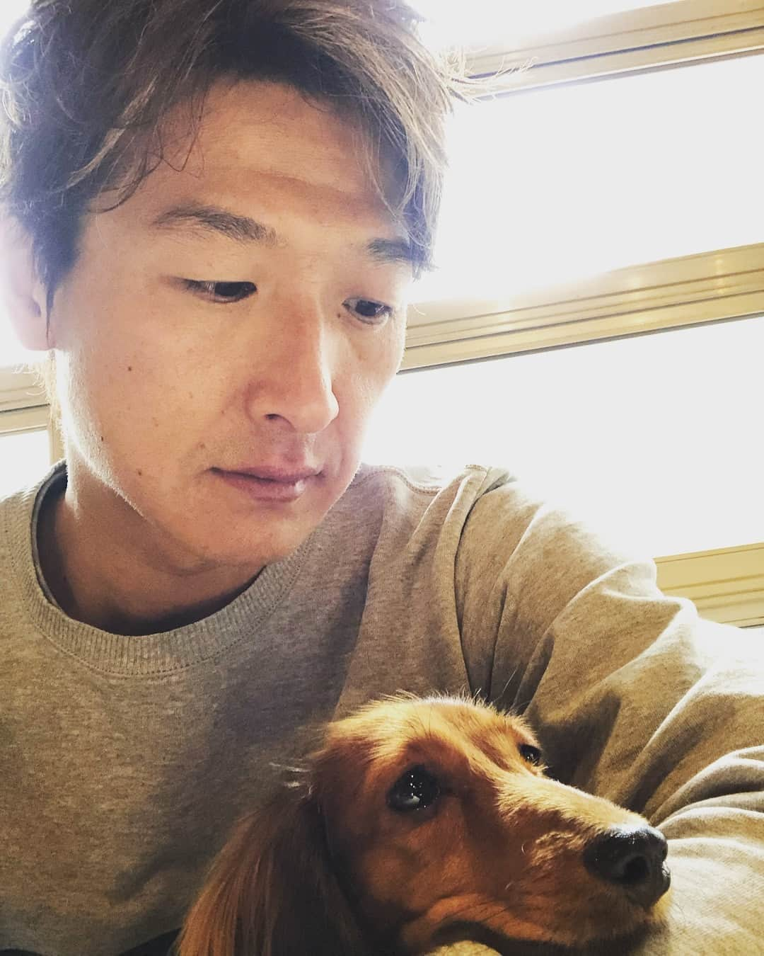 井出有治さんのインスタグラム写真 - (井出有治Instagram)「🐶ノワと散歩からのランチ  #dog #犬 #ミニチュアダックスフンド #ランチ #ハンバーグ」3月29日 13時54分 - yuji_ide_official