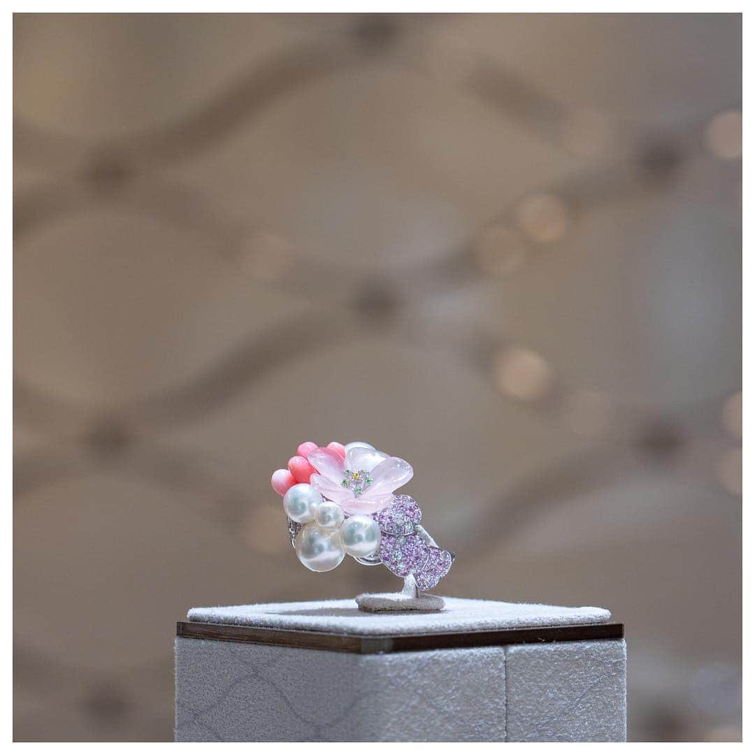 Mikimotoさんのインスタグラム写真 - (MikimotoInstagram)「The ring illustrating light snow slowly melting in gentle sunlight. The delicate cherry blossoms and plump buds depict the anticipation of the arrival of spring. #mikimoto #mikimotopearls #highjewelry #praisetonature」3月29日 14時00分 - official_mikimoto